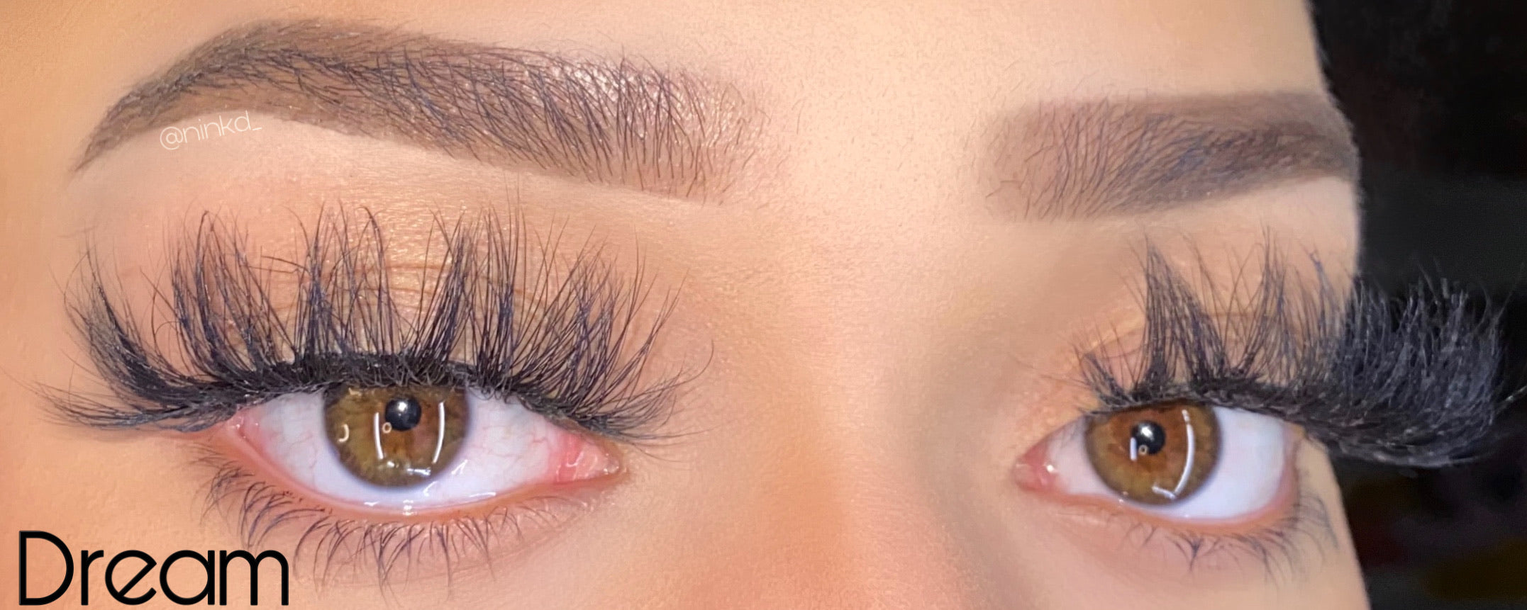 Lash Book