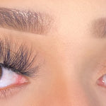 Lash Book