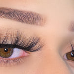 Lash Book